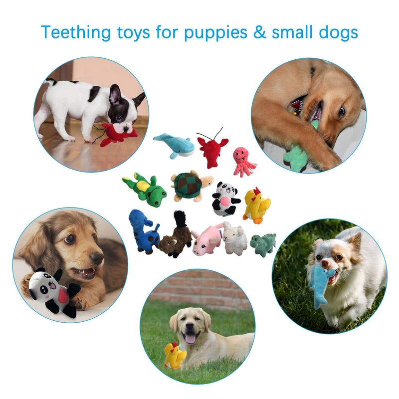 Squeaky Plush Dog Toy Pack for Puppy, Small Stuffed Puppy Chew Toys 12 Dog Toys Bulk with Squeakers, Cute Soft Pet Toy for Small Medium Size Dogs - PawsPlanet Australia