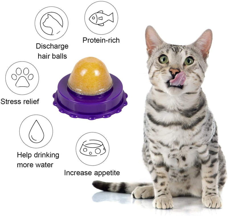 QUTOP Catnip Balls Toy, Natural Catnip Balls for Cats Licking, 6 Pack Interactive Catnip Cat Toys, Care Teeth Cleaning Catnip Toys for Indoor Cats Kitten Kitty, Cat Nip Balls Toy 4Pack - PawsPlanet Australia