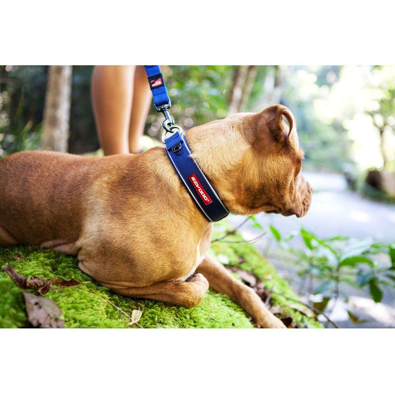 EzyDog Neo Classic - Dog Collar Neoprene Padded Collar - PawsPlanet Australia