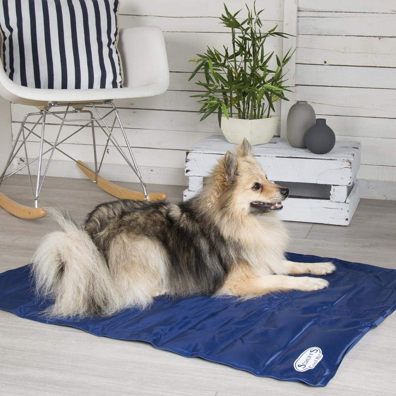 Scruffs Self-Cooling Mat (S) Blue S - PawsPlanet Australia