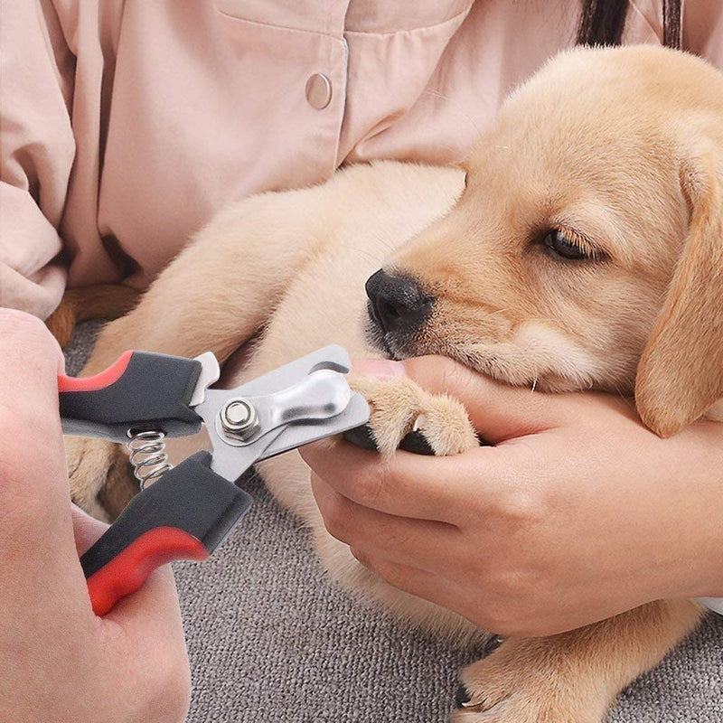 SXYHKJ Claw scissors, professional claw scissors, dog cat claw pliers with protective device, safety lock and nail file, perfect paw scissors for small, medium-sized dogs and cats (red) red - PawsPlanet Australia