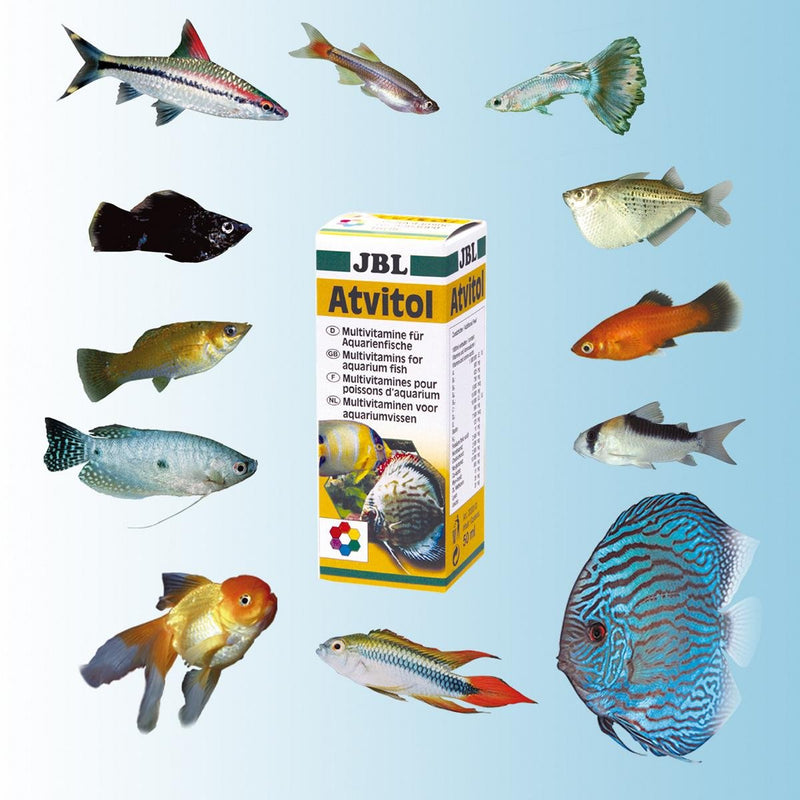 JBL Atvitol multivitamin for aquarium fish, drops 50 ml, 20300 - PawsPlanet Australia