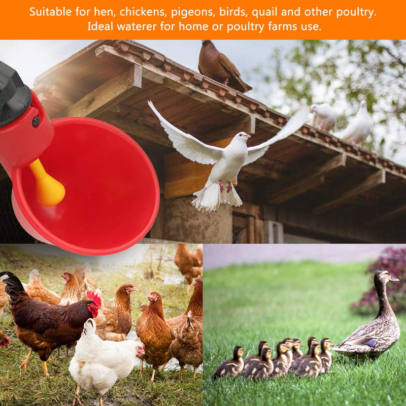 10 PCS Chicken Drinker Automatic Poultry Water Drinking Cups Bowl Dispenser Plastic Watering Feeder for Bird Quail Pigeon Hen Duck Livestock - PawsPlanet Australia