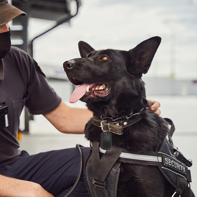 VALICLUD 12Pcs Military Dog Tag Silencer Silicone Rubber Silencer ID Tags Silencer Retangular Cover (Black) - PawsPlanet Australia