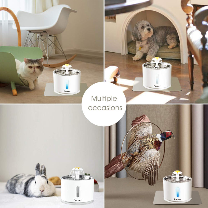 Cat Drinking Fountain, Water Dispenser for Cats with Water Level Window, Cat Water Fountain Stainless Steel with 4 Pieces Hygiene Filter & 1 Silicone Mat, Drinking Fountain for Pets with LED Light - PawsPlanet Australia