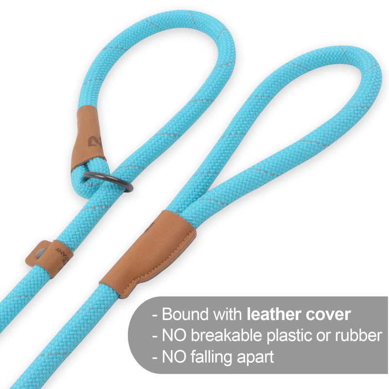 [Australia] - Pet's Company Slip Lead Dog Leash, Reflective Mountain Climbing Rope Leash, Dog Training Leash - 5FT, 2 Sizes Medium Turquoise 