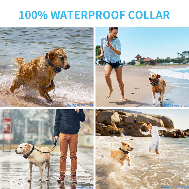 [Australia] - Dog Training Collar with Remote-Shock Collar for Dogs Large,Medium,Small-Waterproof E-Collar w/ 3 Correction Modes, Beep, Vibration,Shock｜Pet Tech Dog Collar offer 1~100 Shock Levels ,1600ft Remote 