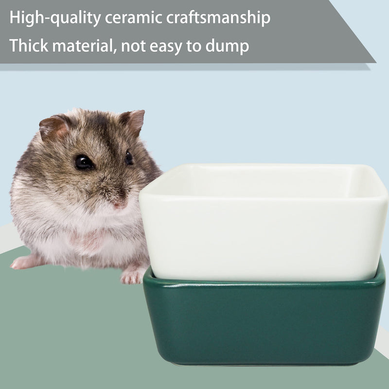 KUAO 2-Piece Set Hamster Feeding Bowl Square Ceramic White and Green Small Animal Dishes Food and Water Bowl with a Bamboo Shelf for Hamsters Guinea Pig Gerbil Hedgehog Rabbit and Little Cat - PawsPlanet Australia