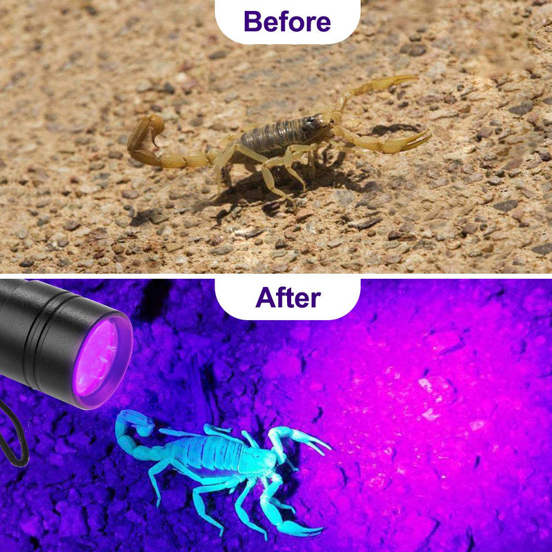 (2 Pack) UV Torch, Fulighture Pets Black Light 12LED 395nm, Dogs/Cats Urine Detector, Ultraviolet Flashlight Find Dry Stains on Carpets/Rugs/Floor with Batteries Included 3.0 Watts - PawsPlanet Australia