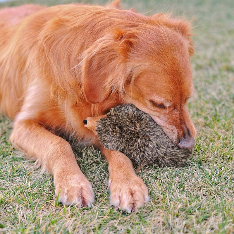 [Australia] - ZippyPaws 12-Inch Hedgehog Squeaky Plush Dog Toy, Extra Large 