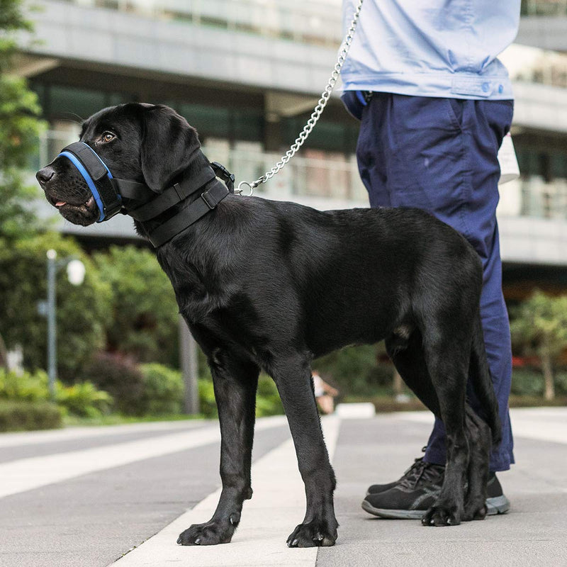 [Australia] - Dog Muzzle for Small Medium Large Dogs Stop Barking Biting and Chewing Breathable Adjustable Soft Pad Blue 