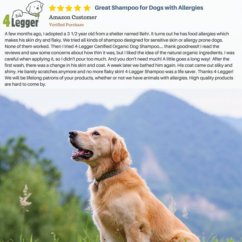 [Australia] - 4-Legger Certified Organic Hypoallergenic All Natural Aloe Dog Shampoo - Unscented - Gentle Moisturizing - Conditioning for Soothing Relief of Dry, Itchy, Sensitive Allergy Skin - Made in USA - 16 oz 