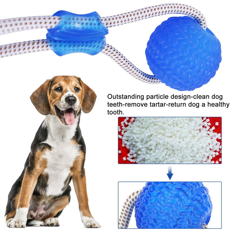 Suction Cup Dog Toy, Multifunction Pet Molar Bite Toy with Strong Rope and Powerful Suction Cup for Tug and Chewing, Helps Clean Teeth - PawsPlanet Australia