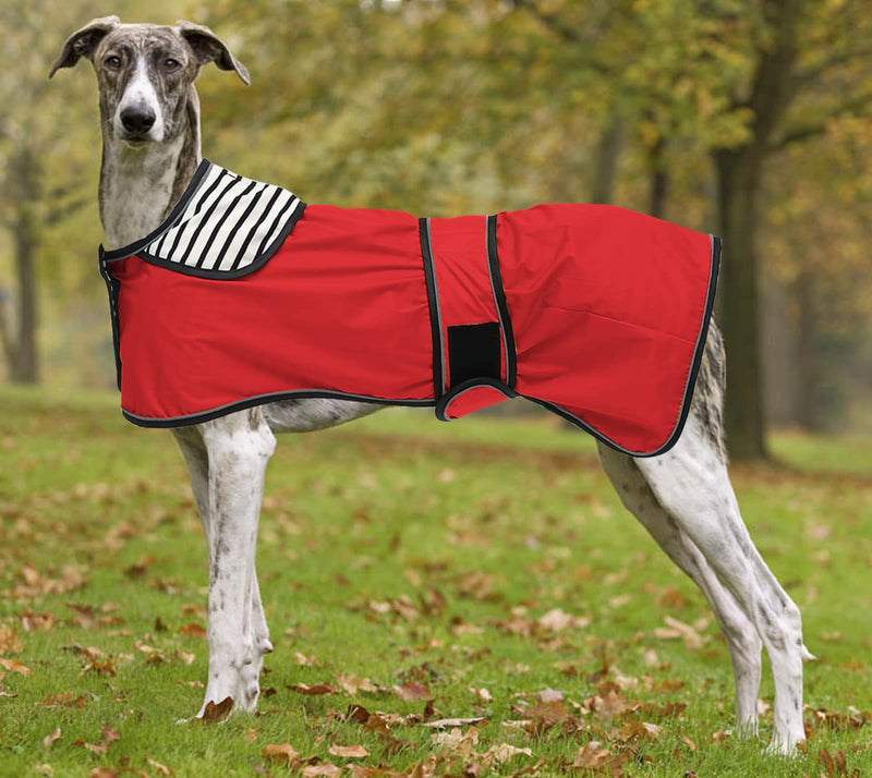 Morezi Dog Raincoat with Reflective Bar, Rain/Water Resistant, Adjustable Vest - Stylish Premium Dog Raincoats for Greyhounds, Lurchers and Whippets - Red - S Small (Length: 51CM) - PawsPlanet Australia