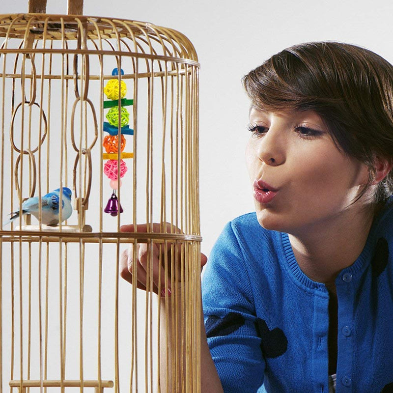 Bebester Bird Chewing Toys, 8Pieces Bird Parrot Toys Bird Hanging Bell Toy Hanging Colorful Swing Chewing Toy Bells, Ladder Swing for Small Parrots, Macaws, Parakeets, Conures, Cockatiels, Love Birds - PawsPlanet Australia