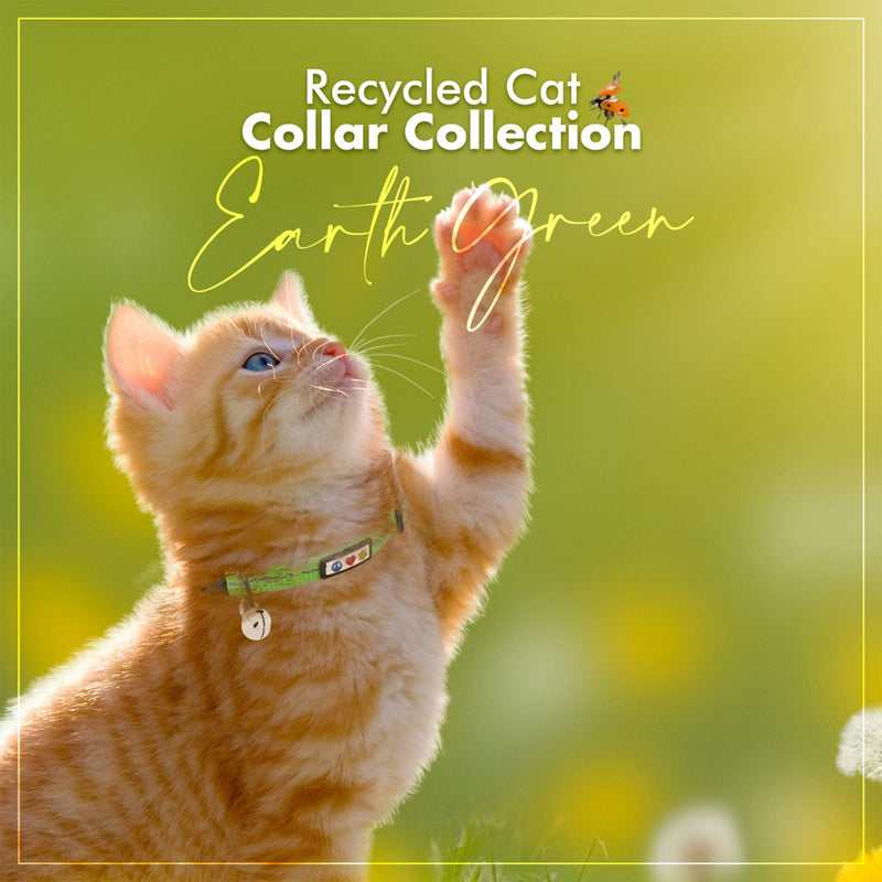 Pawtitas ♻️ Recycled Cat Collar with Reflective Stitched and Safety Buckle Removable Bell | Reflective Cat Breakaway Collar Made from Plastic Bottles Collected from Oceans. Earth Green - PawsPlanet Australia