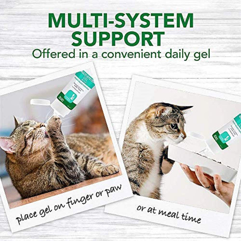 Vet's Best Multi-system support Cat Supplement Gel Promotes Healthy Immune System, 100g - PawsPlanet Australia