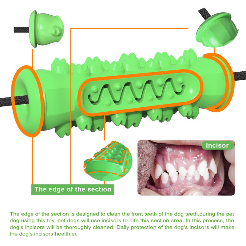 Double Suction Cup Dog Toy, Puppy Chew Toys for Boredom,Self-playing Pet Molar Bite Dog Tug Chewer, Indestructible Teeth Cleaning Pulling Training Tugger, Green Dark Green - PawsPlanet Australia