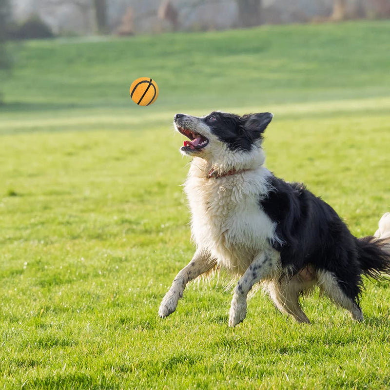 PAWCHIE Squeaky Dog Tennis Balls - 12 Pack Durable Dog Toy Balls, 2.5" Dog Interactive Chew Toys for Dog Playing - PawsPlanet Australia