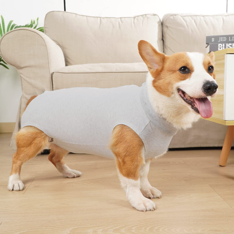 HEYWEAN Dog Bodysuit After Surgery Castration Wound Protection Suits for Dogs, Professional Pet Recovery Suit Dog Medical Shirt, Body Suit after Surgery Dog Pet Surgical Suit for Dogs XL (Pack of 1) Light Gray - PawsPlanet Australia