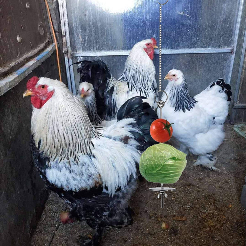 YASAJI Chicken Veggies Skewer Fruit Holder for Hens Pet Chicken Vegetable Hanging Feeder Toy for Hens Large Birds 1PCS - PawsPlanet Australia