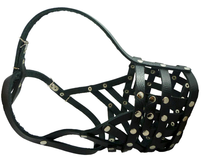 [Australia] - Secure Leather Mesh Basket Dog Muzzle #16 Black - Great Dane, Saint Bernard, Mastiff (Circumference 15.5", Snout Length 4.5") 