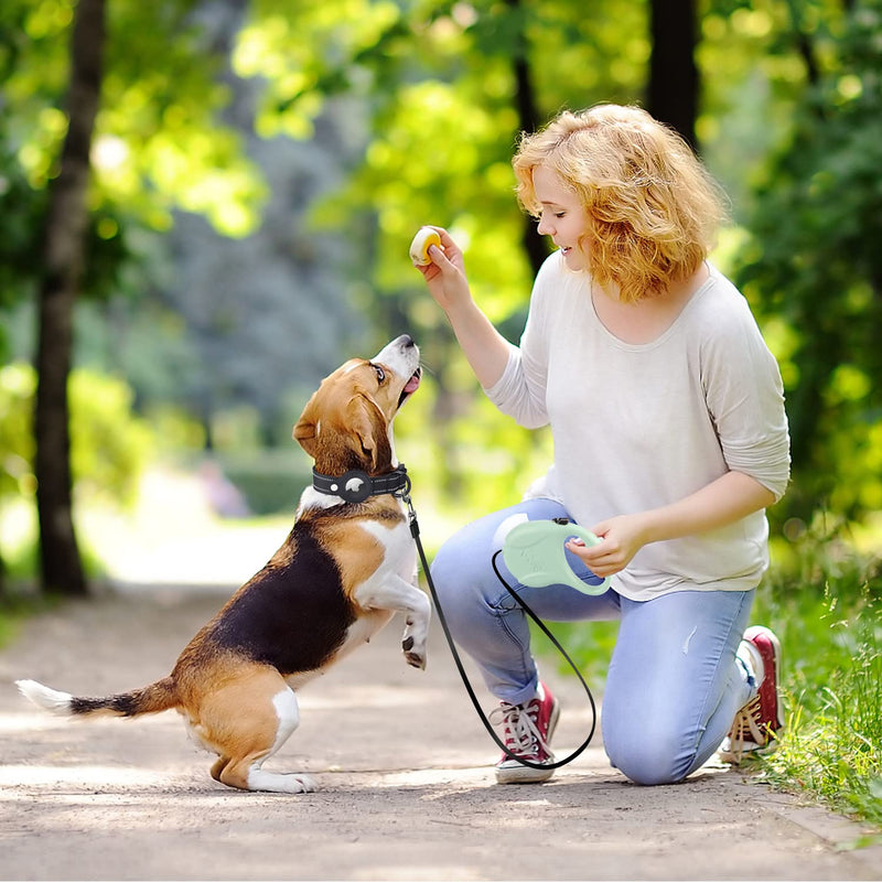 5m Automatic Retractable Dog Lead with Black Collar - PawsPlanet Australia