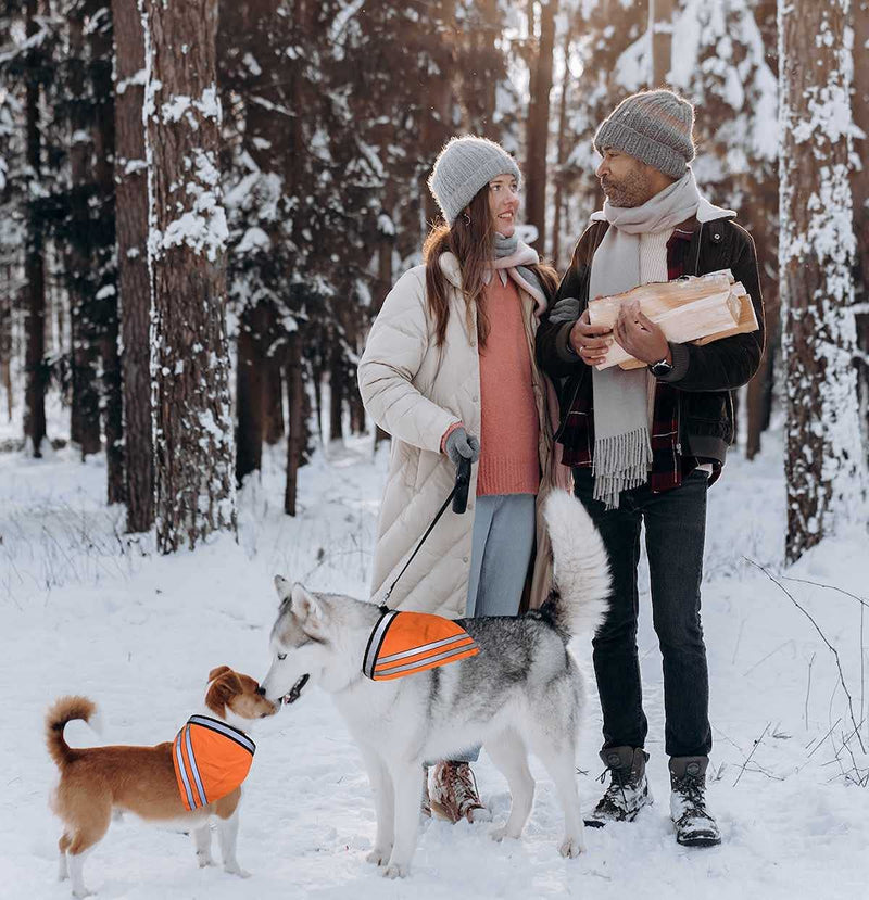 Reflective Dog Bandana Velcro Safety Scarf 2 Pack Orange Dog Reflective Gear - PawsPlanet Australia