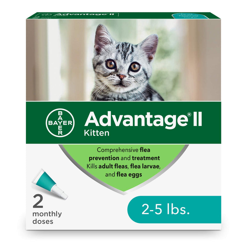 Advantage II 2-Dose Flea Treatment and Prevention for Kittens, 2-5 Pounds - PawsPlanet Australia