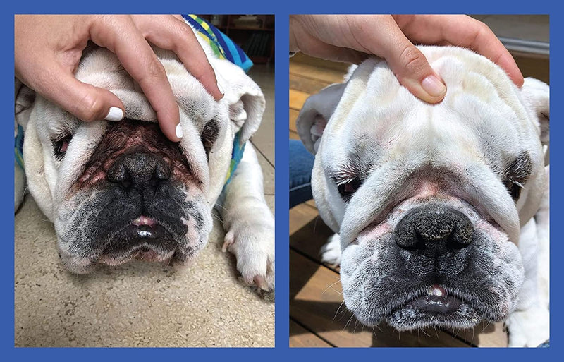 Squishface Flexible Silicone Wrinkle Paste for Dogs, Gentle Paste Application, Softer, cleaner way to apply wrinkle paste and tear stain paste to your dog's face - for any breed - PawsPlanet Australia