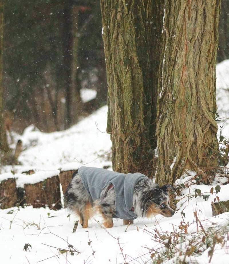 Gooby Fleece Vest Hoodie Dog Sweater - Gray, Small - Warm Pullover Dog Hoodie with O-Ring Leash - Winter Hooded Small Dog Sweater - Dog Clothes for Small Dogs Boy or Girl, and Medium Dogs Small chest (33.5 cm) - PawsPlanet Australia