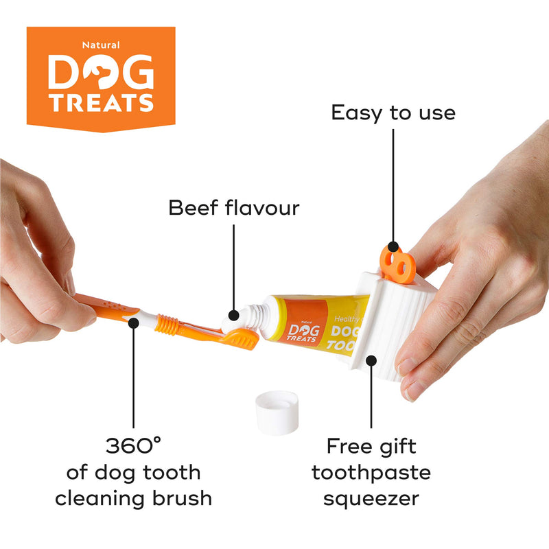 Natural Dog Treats Toothbrush and 4X Toothpaste Kit for Dogs, Beef Flavor Toothpaste, Improves Gum & Tooth Health, Removes & Reduces Plaque 4x Beef Flavour Toothpaste + Toothbrush - PawsPlanet Australia