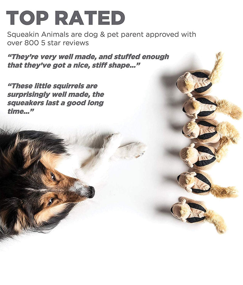 Outward Hound Squeakin' Squirrels Plush Replacement Dog Toys - 3 Pack Replacement Animals (3-Pack) - PawsPlanet Australia