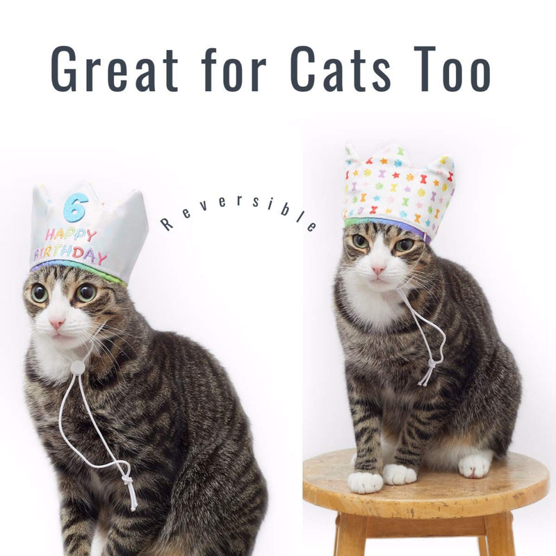 Pet London Happy Birthday Reversible Crown Hat for Dogs & Cats-Add Any Age-Glitter Numbers (20pcs) Reusable - Celebrate Pets Birthday - embroidered with HAPPY BIRTHDAY (Small) Small - PawsPlanet Australia
