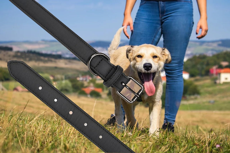 XCZAP Leather Collar for Large Medium Small Dogs Leather Lined Heavy Duty Exquisite Durable Adjustable with Built-in Pull (Small, Iron) Small - PawsPlanet Australia