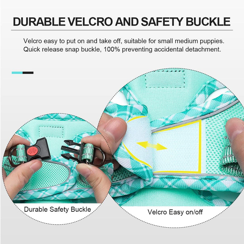 Mercano Soft Mesh Dog Harness and Leash Set, No-Chock Step-in Reflective Breathable Lightweight Easy Walk Escape Proof Vest Harnesses with Safety Buckle for Small Medium Dogs, Cats (Light Green, XXS) XX-Small Light Green - PawsPlanet Australia