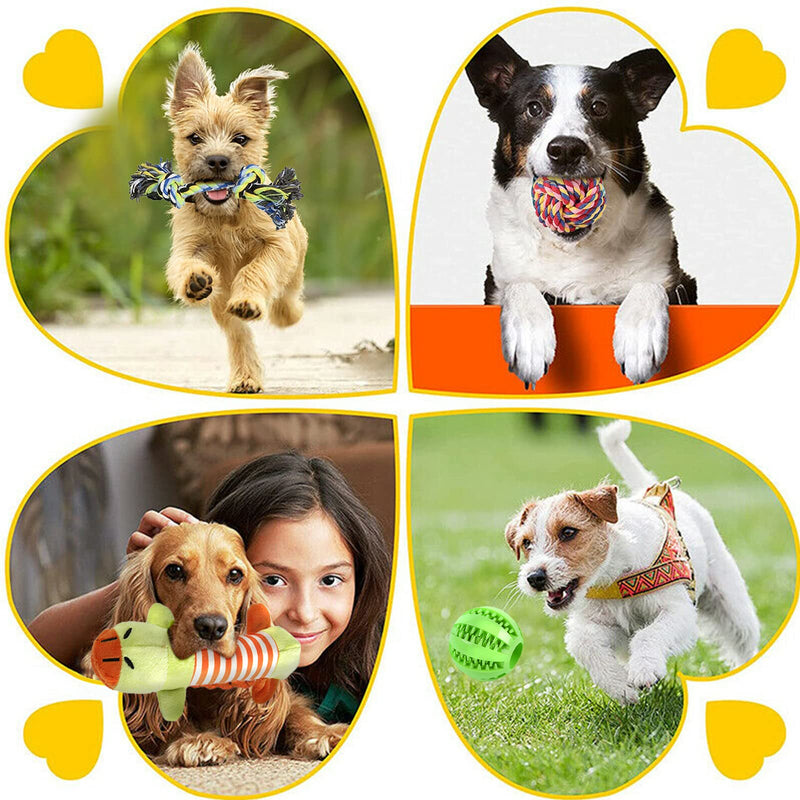 12 Pcs Dog Rope Toys Set, Durable Dog Rope Toys for Small Pets Dogs, Puppy Toys Set Dog Chew Toys for Interactive, Teething Training, Relieve Boredom and Stress for Small Medium Large Dogs - PawsPlanet Australia