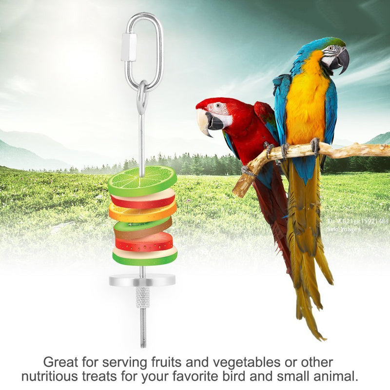 Parrot Skewer, Stainless Steel Parrot Fruit Vegetable Meat Food Stick Holder Small Animal Bird Hutch Cage Foraging Toy Parrots Treating Tool (S) S - PawsPlanet Australia