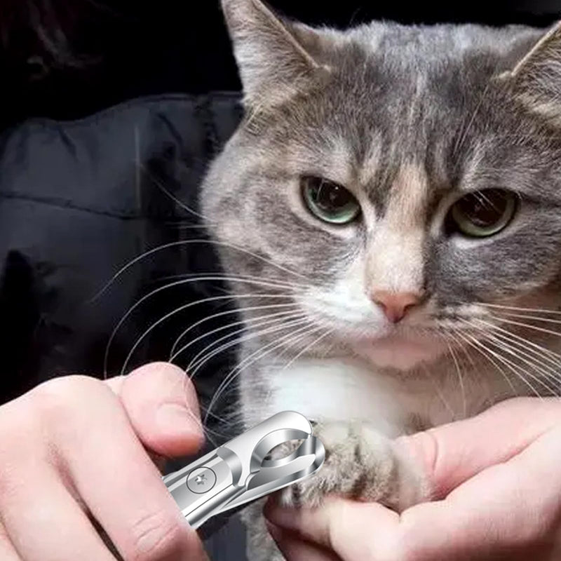 DEARBAG Claw Scissors for Dogs and Cats, Stainless Steel Claw Scissors and Grinder for Small Animals, Non-Slip Handles, Safe Claw Care for Pets Rabbits Guinea Pigs Hamsters - PawsPlanet Australia