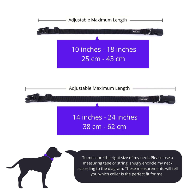 [Australia] - Paltu Pets Dog Collar and Leash Set with 1 inch Width for Medium & Large Size Dogs - Nylon 6ft Leashes with 360° Rotating Swivel Clasp for Outdoor Walks Adjustable Collar Fit 10" - 18" Black 