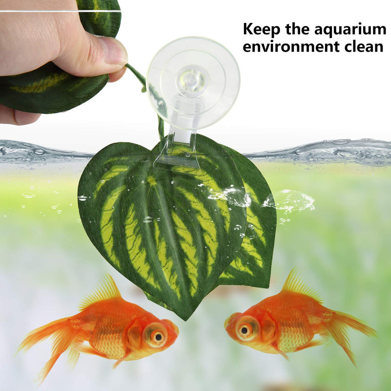 SLSON 4 Pack Fishes Veggie Seaweed Plant Suction Cup Clip Feeding Tool Feed Holder Aquarium Accessories for Fish Tank - PawsPlanet Australia