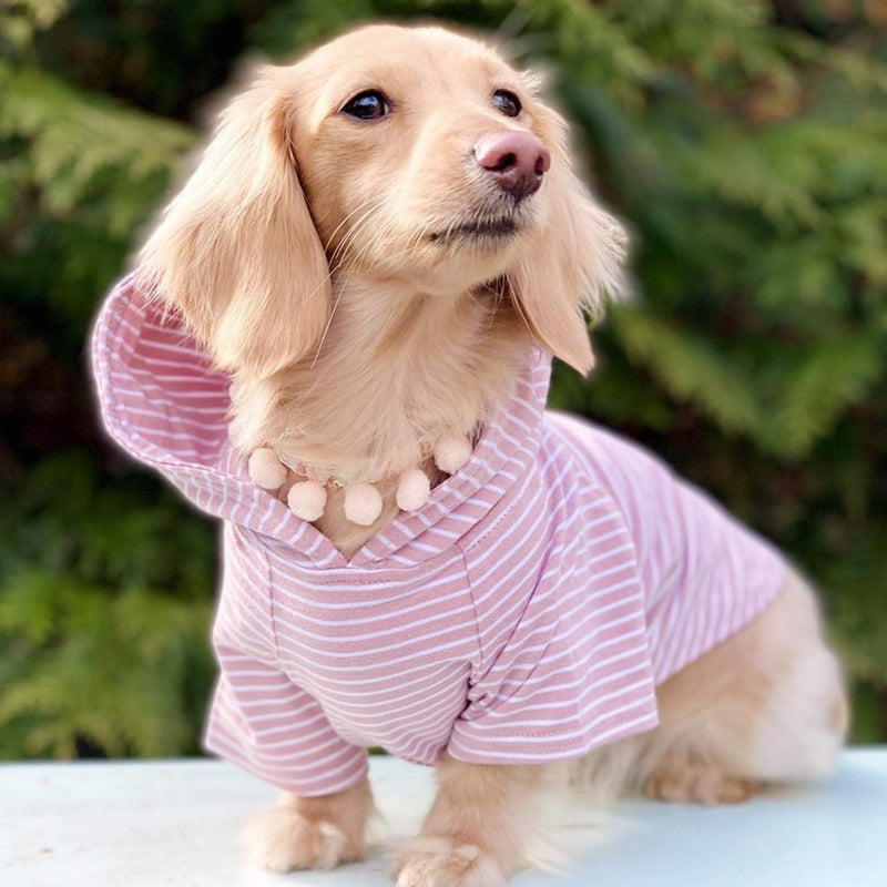 DJANGO Dog Hoodie and Super Soft and Stretchy Sweater with Elastic Waistband and Leash Portal X-Small Blush Pink - PawsPlanet Australia