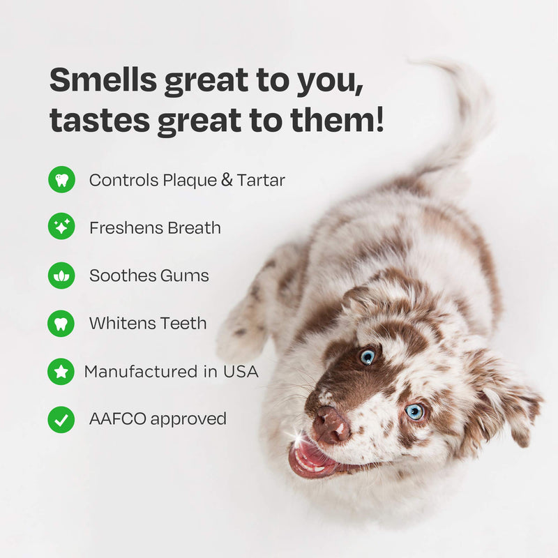 Natural Dog Toothpaste Enzymatic with Probiotics - Toothpaste for Dogs Reduces Tartar and Plaque - Manufactured in USA - with Natural Ingredients for Dog Teeth Cleaning and Dog Dental Care - Mint - PawsPlanet Australia