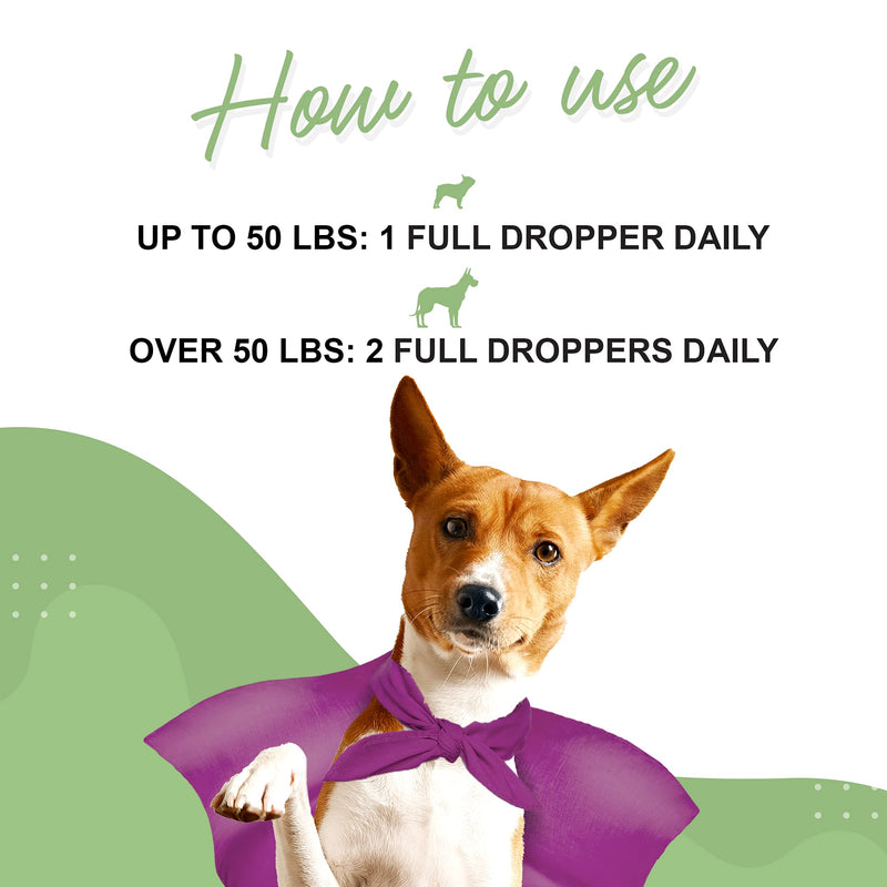 WONDER PAWS Milk Thistle for Dogs, Liver Support for Dogs, Supports Kidney Function for Pets, Detox, Hepatic Support, with Wild Alaskan Salmon Oil & Curcumin, Omega 3 EPA & DHA - 2 oz Pet Supplement - PawsPlanet Australia