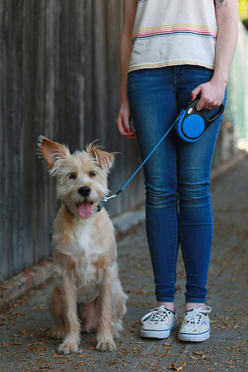 Taglory No-Tangle Retractable Dog Lead 5m,Heavy Duty Dogs Extendable Leads Strong Nylon Tape,Suitable for Boy Dogs Up to 20kg,Blue 16ft (5m) Blue - PawsPlanet Australia