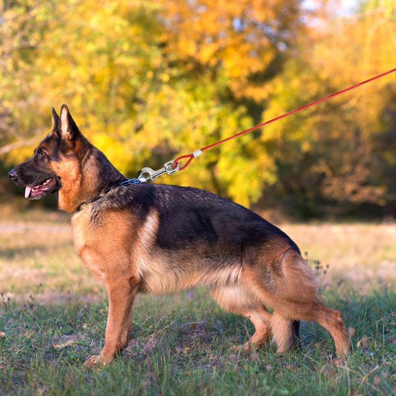 Tie-Out Leashes for Dogs, Leashes for Dogs, 3M Dog Tie Out Cables, Tie-Out Cables, Heavy Duty Dogs Chain Leashes, Yard Leashes for Dogs, for Small, Medium, Large Dogs (Red) - PawsPlanet Australia