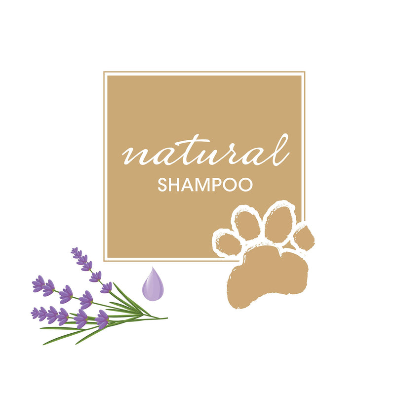 [Australia] - Four Paws Magic Coat Natural Dog Shampoo, Lavender & Chamomile, 16 Ounces 