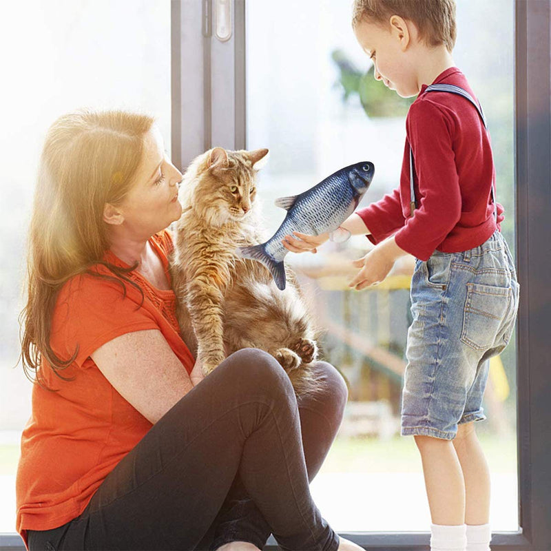 Catnip Fish Toys for Cats Interactive, 30cm Realistic Plush Electric Wagging Fish Toys, Simulation Funny Health Refillable Toy for Indoor Cat Pet Kitten, Perfect for Biting Chewing Kicking, Catfish Normal - PawsPlanet Australia