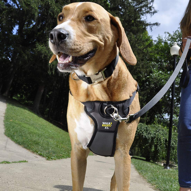 [Australia] - Coastal Pet Walk Right! Front-Connect Padded Dog Harness Medium - 20"-30" girth Black 