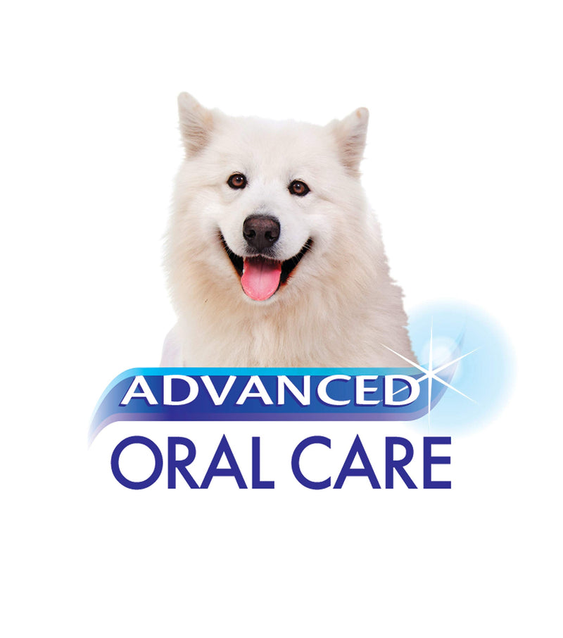 Nylabone Advanced Oral Care Natural Dog Dental Kit Peanut Flavor 2.5 oz. - PawsPlanet Australia